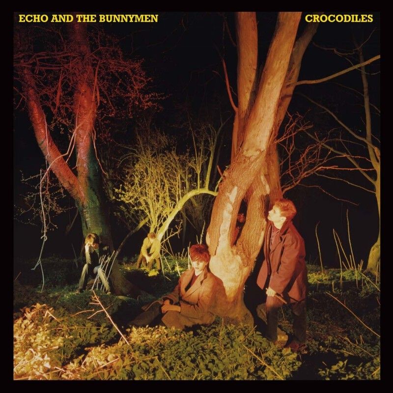 Crocodiles (1LP Black) - Image 2