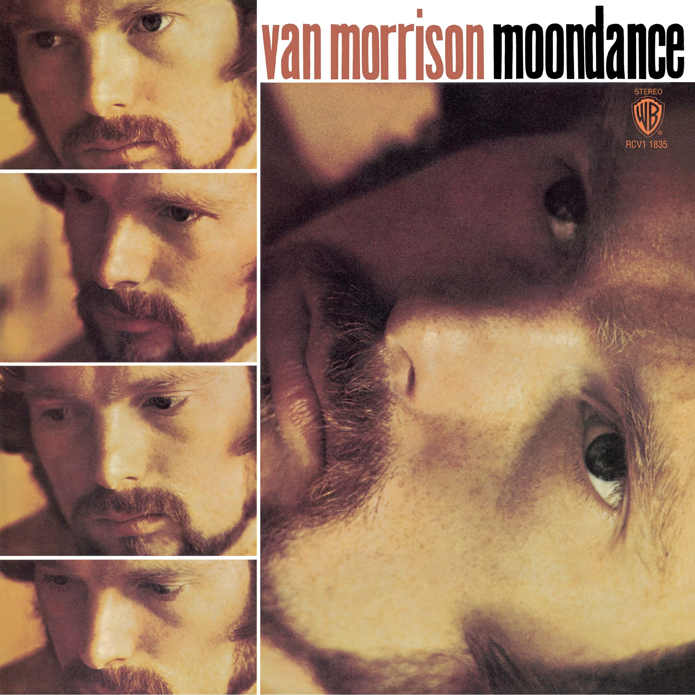 Moondance (1CD) - Image 2