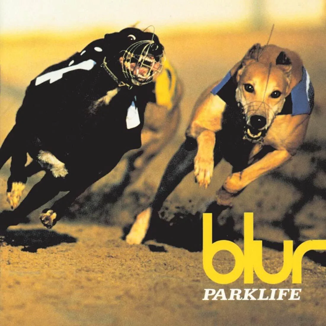 Parklife (1CD) - Image 2