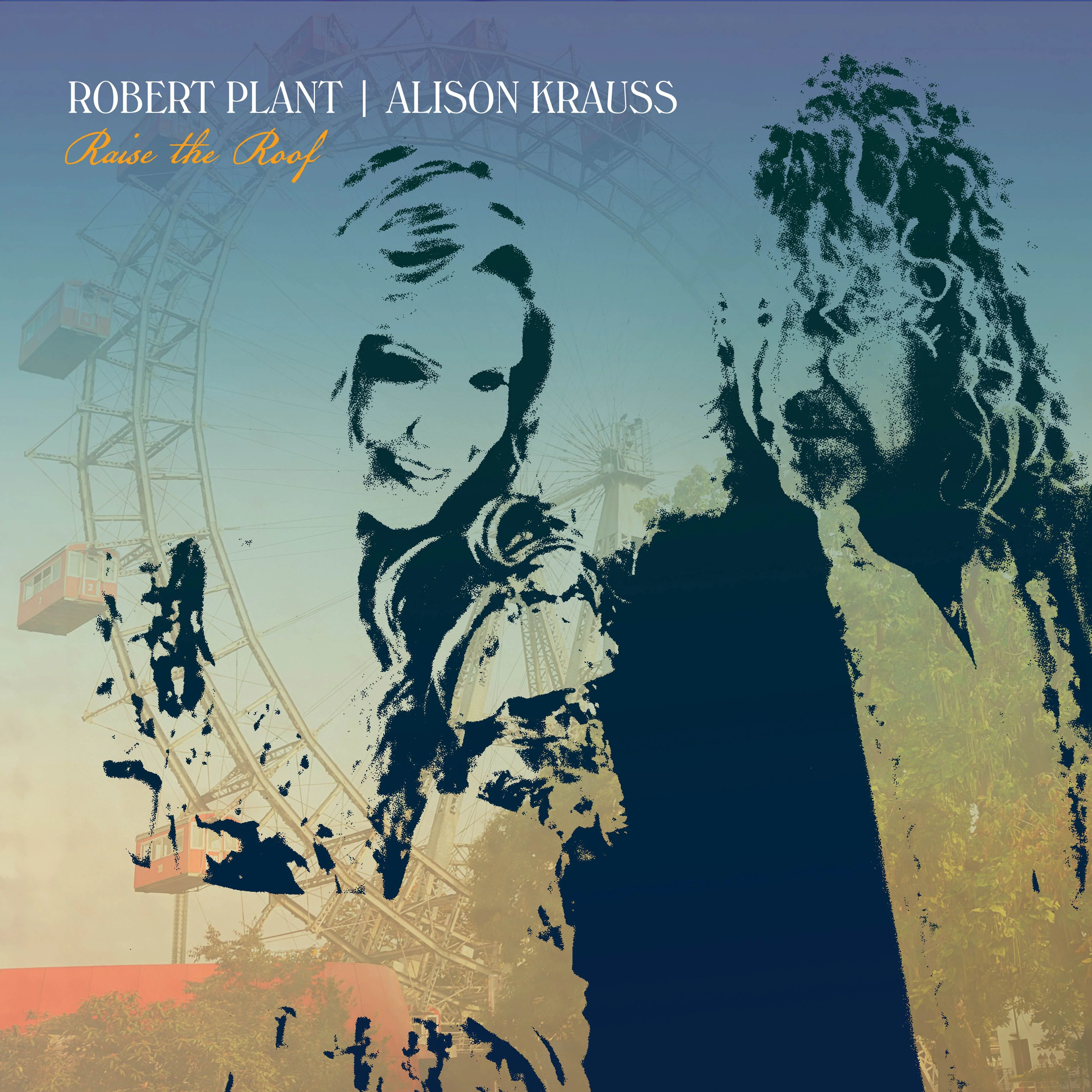 Raise The Roof (2LP Black) - Image 2