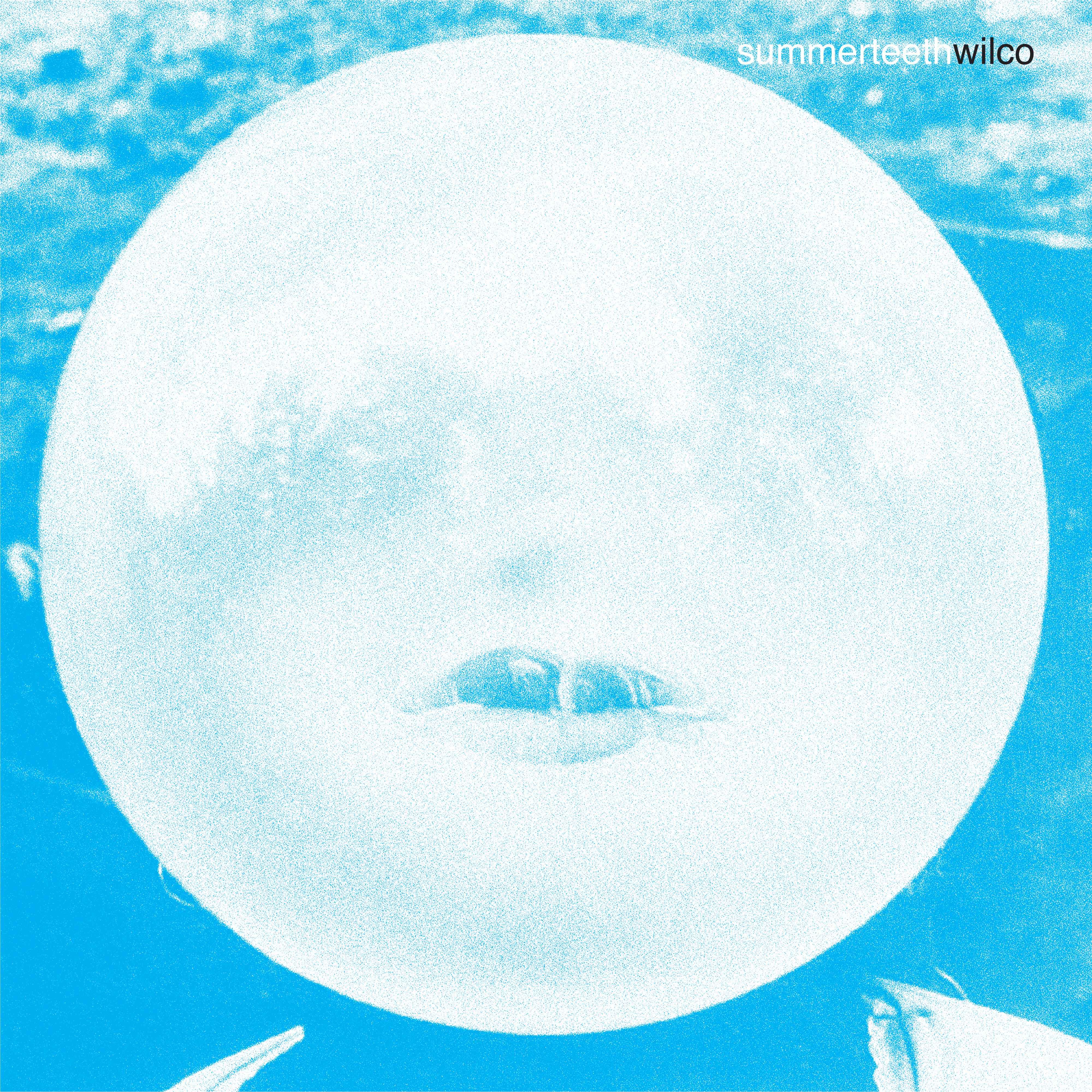 summerteeth (Deluxe Edition) 5LP - Image 2